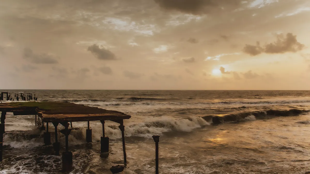 കോഴിക്കോട് കോർപ്പറേഷൻ ജനുവരി അഞ്ച് മുതൽ 11 വരെ ശ്രീ തിയേറ്ററിൽ ചലച്ചിത്രോത്സവം സംഘടിപ്പിക്കും