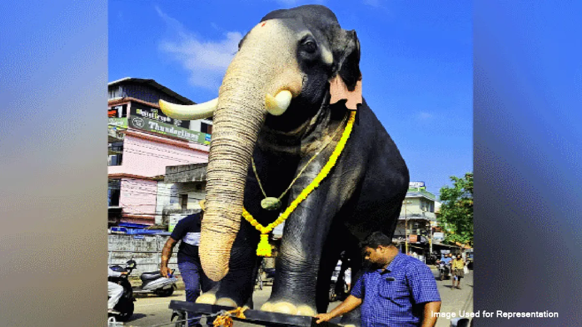 കോഴിക്കോട്ടെ ഫൈബർ ആന: ശ്രീമുരുകന്റെ ഗാംഭീര്യത്തോടെ ഉത്സവങ്ങളിലേക്ക്