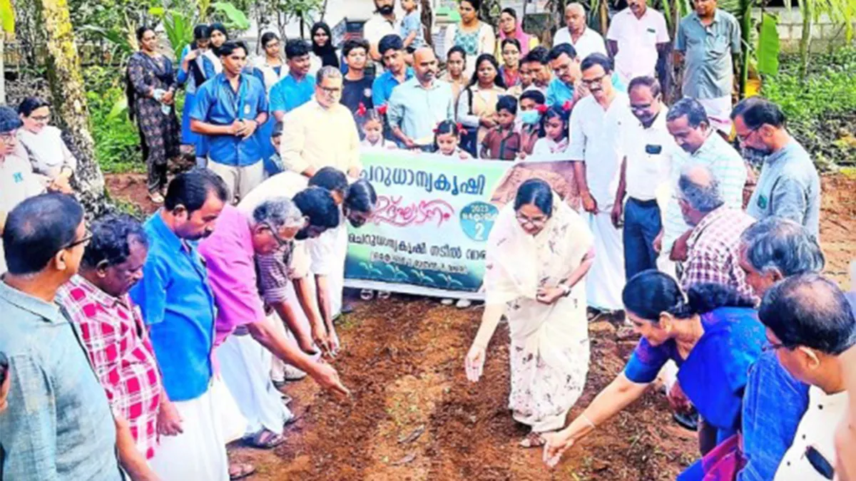 മില്ലറ്റ് മിഷൻ കേരള സംസ്ഥാന വ്യാപകമായി തുടങ്ങുന്ന ചെറുധാന്യകൃഷി ചേളന്നൂരിൽ ആരംഭിച്ചു