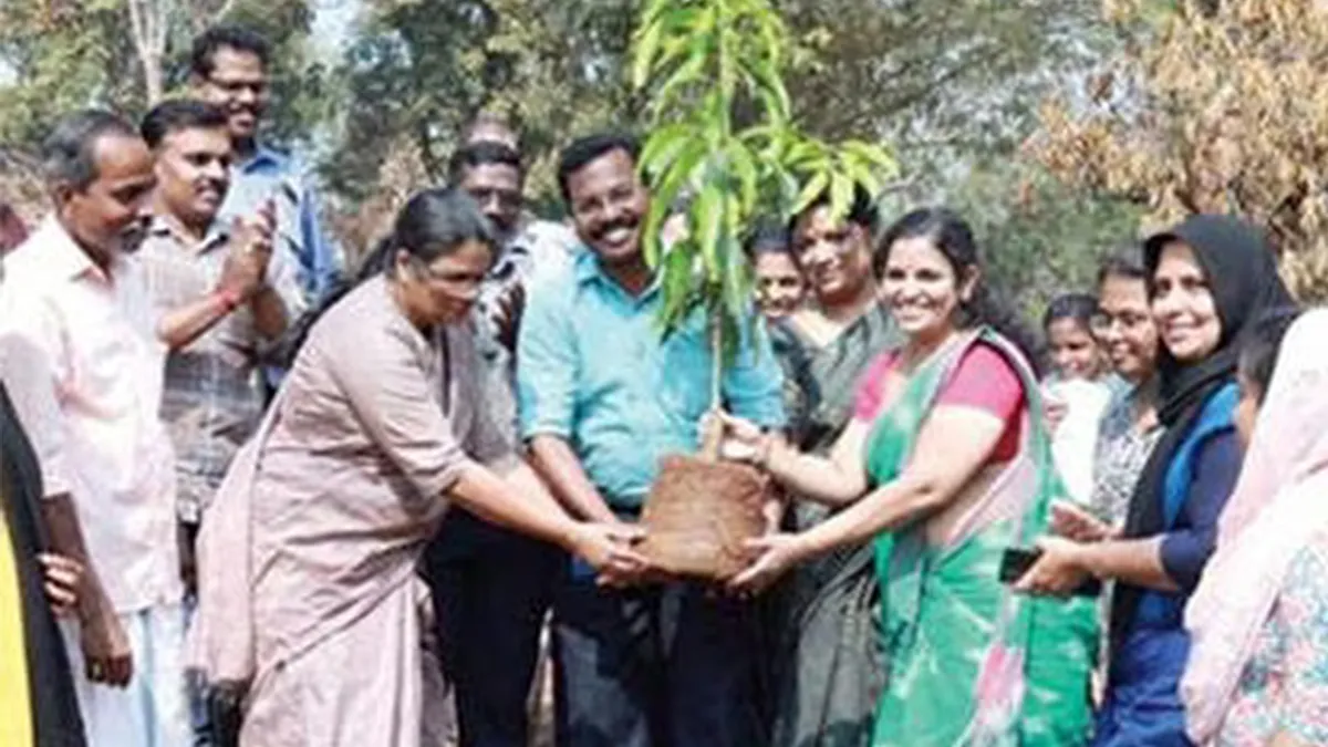 കൂത്താളി ജില്ലാ കൃഷിത്തോട്ടത്തിൽ വിദേശഫലവർഗങ്ങളുടെ മാതൃവൃക്ഷത്തോട്ടം