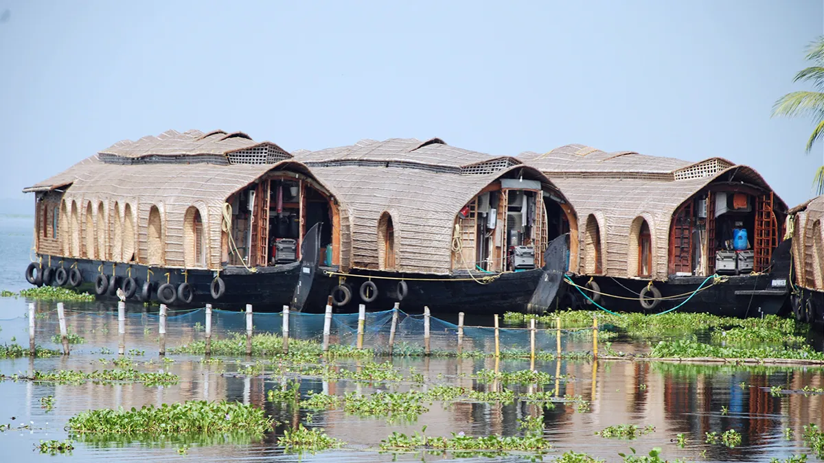 അകലാപ്പുഴ ബോട്ടുസർവീസ് പുനരാരംഭിച്ചു
