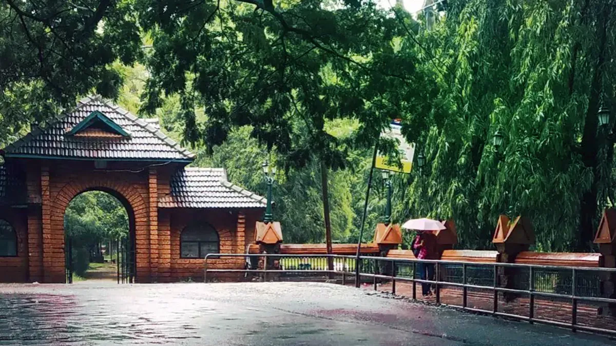 മാനാഞ്ചിറയിൽ ചെറുവനം ഒരുങ്ങുന്നു