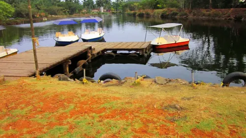 കോഴിക്കോട്ടെ സരോവരം ബയോ പാർക്കിൽ ഇന്ന്  മുതൽ ബോട്ടിംഗ് സർവീസ് ആരംഭിക്കുന്നു