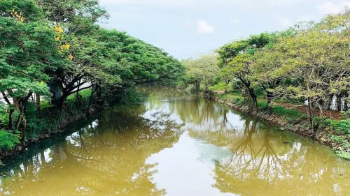 വിനോദസഞ്ചാരത്തിൻ്റെ സാധ്യത പരമാവധി ഉപയോഗപെടുത്തികൊണ്ട് കനോലി കനാൽ സിറ്റി പദ്ധതി