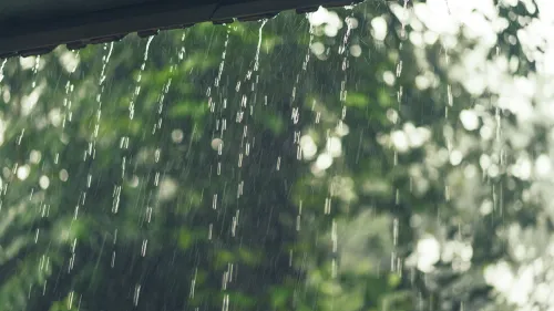 കാലവർഷത്തിന് മുന്നോടിയായി സംസ്ഥാനത്ത് പലയിടങ്ങളിലും മഴ ശക്തം 