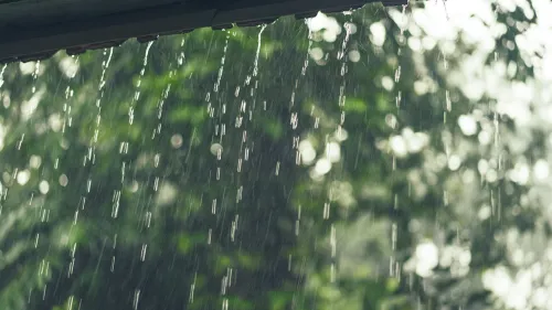 കാലവർഷം ശക്തി പ്രാപിച്ചതോടെ എല്ലാ വകുപ്പുകൾക്കും ജാഗ്രതാ നിർദേശം നൽകി ജില്ലാ കലക്ടർ