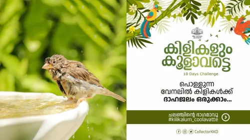 'കിളികളും കൂളാവട്ടെ' ക്യാമ്പയ്ൻ; പൊള്ളുന്ന വേനലിൽ കിളികൾക്ക് ദാഹജലം ഒരുക്കി ജില്ലാ ഭരണകൂടം