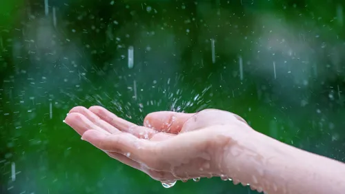 പരിസ്ഥിതിവിദ്യാഭ്യാസ പദ്ധതി 'സേവി'ന്റെ ആഭിമുഖ്യത്തിൽ നടക്കുന്ന മഴയാത്രയിൽ  ആയിരം വിദ്യാർഥികൾ പങ്കെടുക്കും