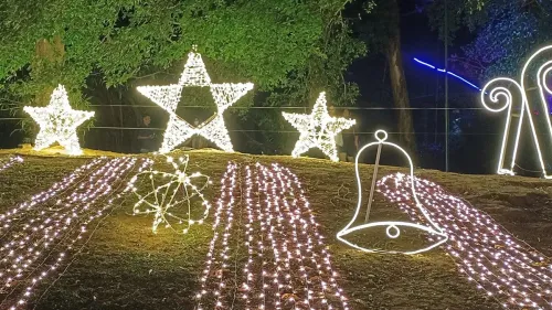മാനാഞ്ചിറ സ്‌ക്വയർ ദീപാലംകൃതമായി