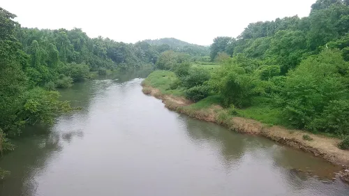 ഇരുവഴിഞ്ഞിപ്പുഴയോരത്ത് ടൂറിസം കേന്ദ്രത്തിന്റെ സാധ്യതകൾ സജീവമാകുന്നു 