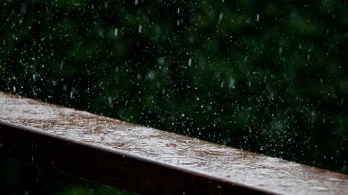 ഇരുവഴിഞ്ഞി, കുറ്റിയാടി പുഴകളുടെ തീരത്തുള്ളവർ ജാഗ്രത പാലിക്കാൻ നിർദ്ദേശം പുറപ്പെടുവിച്ചു