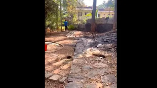 വെള്ളിമാടുകുന്നിൽ ലെൻസ്ഫെഡ് നിർമ്മിച്ച പാർക്ക്‌ ശുചീകരിച്ചു