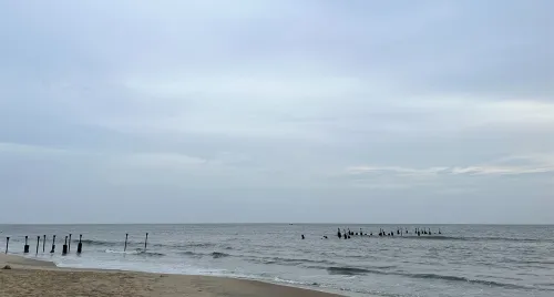 കോഴിക്കോട് ജില്ലയിൽ 12  ബീച്ചുകളിൽ ബീച്ച് ക്ലീനിങ് ഡ്രൈവ് സംഘടിപ്പിക്കുന്നു