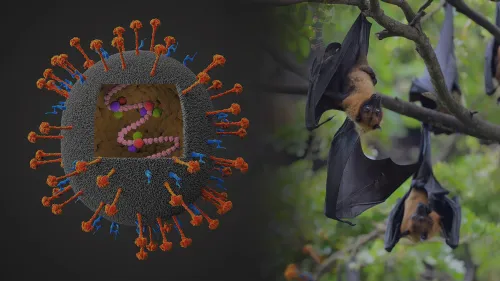 പനിയെ തുടർന്ന് രണ്ട് അസ്വാഭാവിക മരണങ്ങൾ റിപ്പോർട്ട് ചെയ്തതിനെ തുടർന്ന്  ആരോഗ്യവകുപ്പിന്റെ  ജാഗ്രതാ നിർദേശം