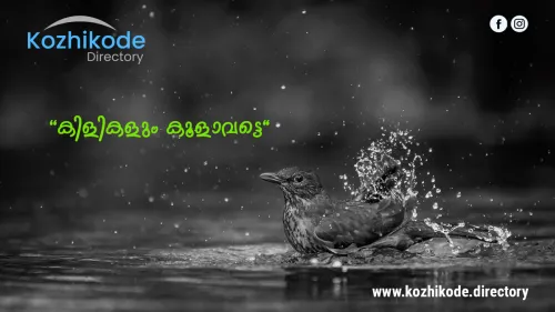 വേനൽ ചൂടിൽ കിളികള്‍ക്കു ആശ്വാസമേകാൻ  ‘കിളികളും കൂളാവട്ടെ!’ ചലഞ്ച്‌