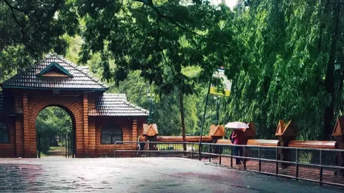 മാനാഞ്ചിറയിൽ ചെറുവനം ഒരുങ്ങുന്നു 